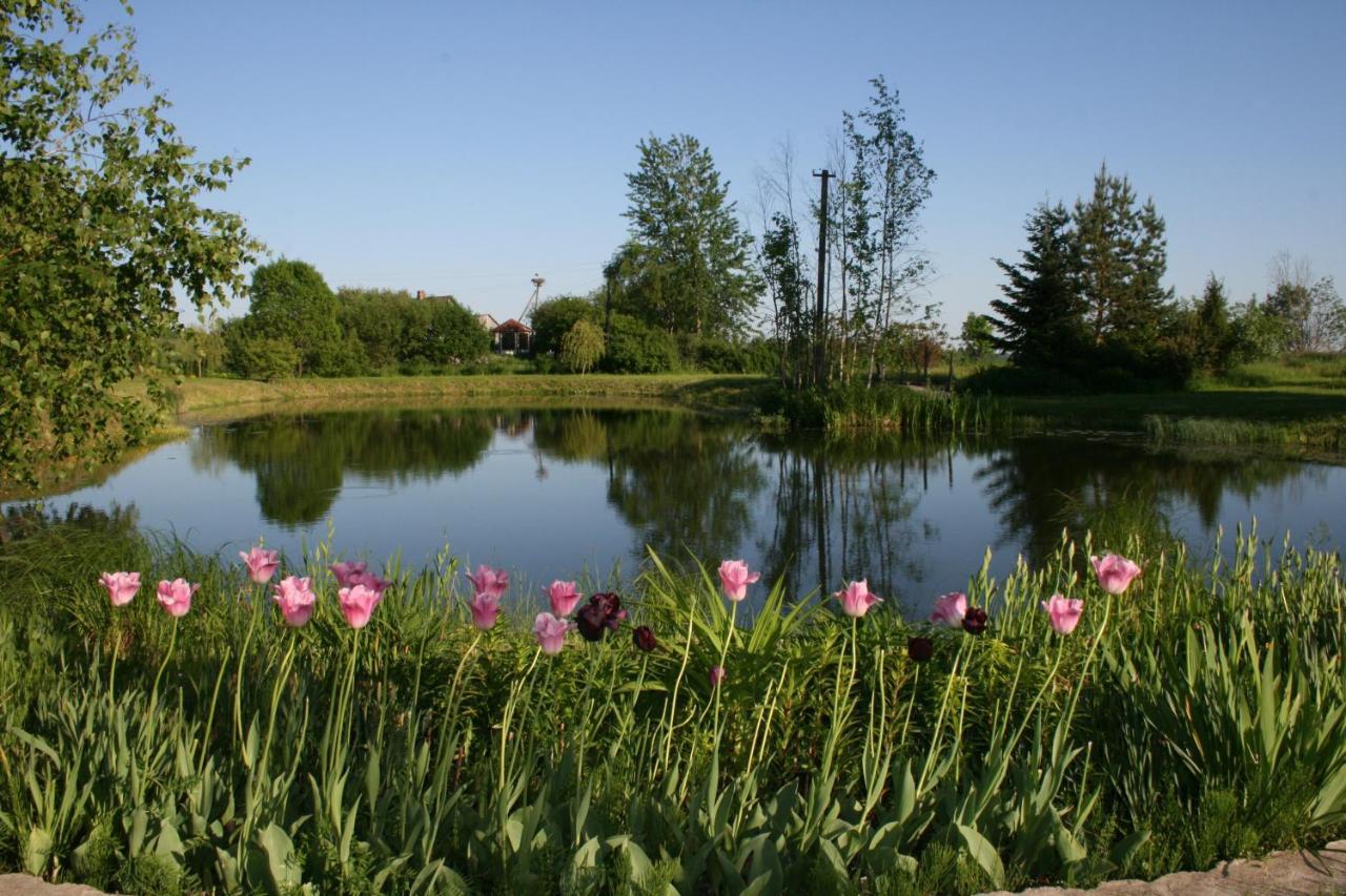 Dikisi Villa Daugavpils Exterior foto